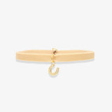 Horseshoe