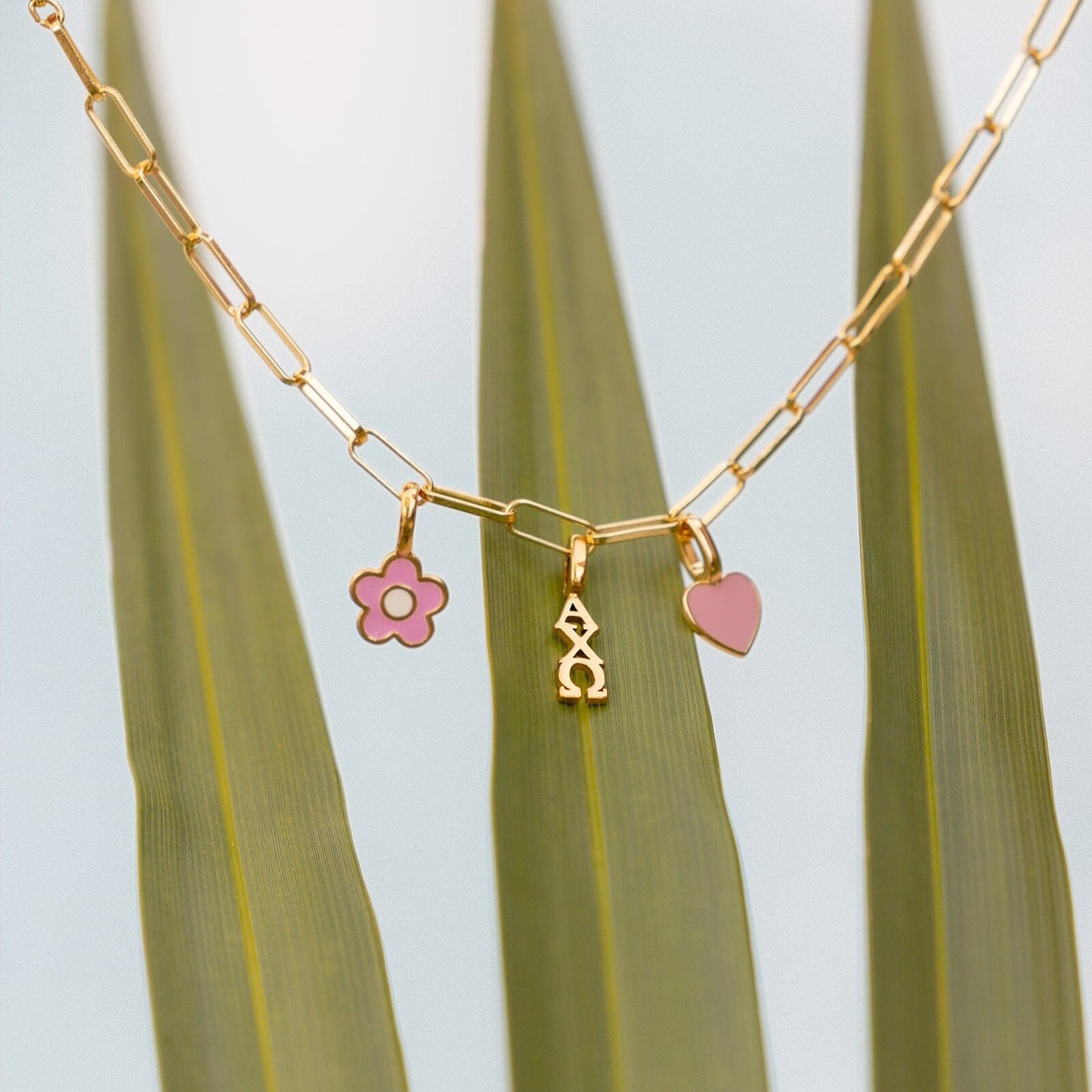 Alpha Chi Omega Collection