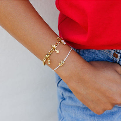 Alpha Phi Collection