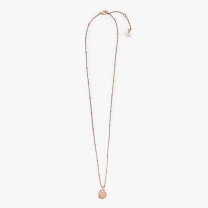 Satellite Shell Pendant Necklace